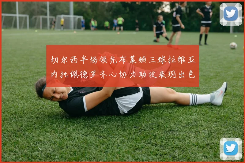 切尔西半场领先布莱顿三球拉维亚内托佩德罗齐心协力助攻表现出色